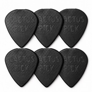 May include: Six black guitar picks arranged in two rows of three. Each pick features a textured surface with small raised dots and the embossed text CACTUS PICK in a bold, blocky font. The picks have a standard triangular shape with a pointed tip.