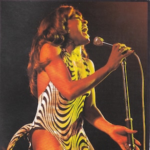 Originele vintage miniatuurposter/boekknipsel met zwarte kaartlijst - Tina Turner (begin jaren 70)