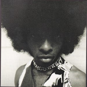Sly stone poster - Etsy 日本