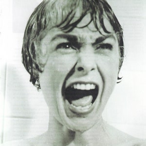 Original Vintage Mini Poster / Book Clipping & Card Frame - Janet Leigh (Psycho)