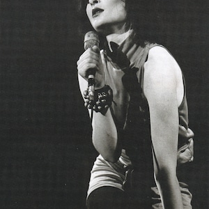 Póster vintage original en miniatura, recorte de libro y marco para tarjetas: Siouxsie Sioux (Siouxsie and The Banshees), finales de los años 70