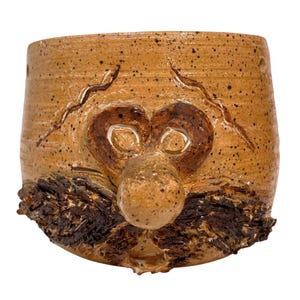 May include: A brown ceramic planter with a face sculpted on the front. The face has a large nose, eyes, and a bushy moustache.