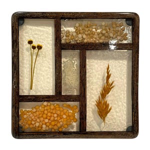 May include: A wooden frame with five clear glass compartments, each containing a different type of grain or dried flower. The top compartment contains small, beige grains, the second compartment contains white rice, the third compartment contains small, orange grains, the fourth compartment contains a dried flower stalk, and the fifth compartment contains two small, yellow flowers.