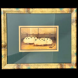 May include: Framed print featuring three white pigs with black spots in a pen. The artwork is set against a teal background and framed in a gold-colored frame with a map design. The text at the bottom reads "Then Greater Old Spot Sows Aged 9 months First Pigs."