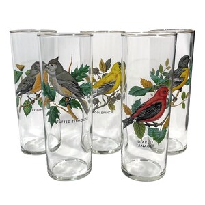 Vintage 1960s Federal Glass American Songbird 5x Highball Glasses - Baltiomore Oriole, Goldfinch, Robin, Scarlet Tanager, Tufted Titmouse