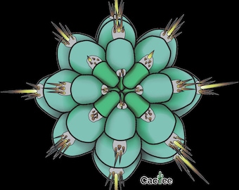 Sharxx Blue Sticker - Trichocereus Peruvianus