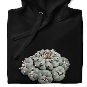 Lophophora Williamsii - Der Peyote Kaktus