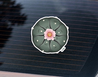 Lophophora Williamsii - The Peyote Cactus Sticker