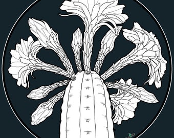 Trichocereus Pachanoi Flower Spiral- San Pedro Cactus Circle Pullover Hoodie
