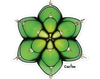 Trichocereus Pachanoi - The San Pedro Cactus Sticker