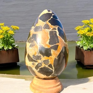 Unique Fossil Egg Dargon for Metaphysical Stone , Home Decor , Personalized Gift
