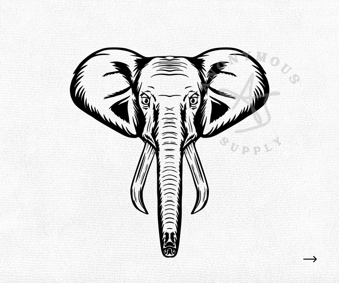 Elephant SVG Elephant Decal Safari Svg Elephant Painting Etsy