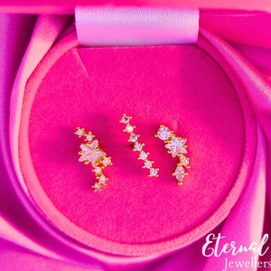 Beautiful Helix Rook Conch & Lobe earrings 18k Gold Silver Rose Cubic Zirconia Cartilage earring barbell lip ear daith labret or curved bar