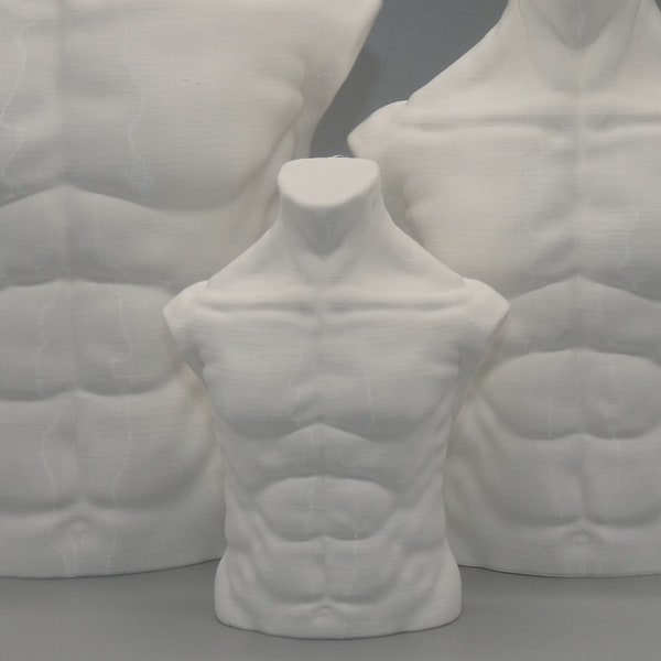 Männer Büste | Nackter Mann | Männlicher Körper | Torso | Fitness Skulptur