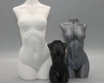 Women bust | Naked woman | Female body | torso | Fitness sculpture