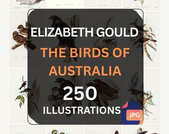 The Birds of Australia Illustrations – 250 Enhanced Plates by Elizabeth & John Gould – Ornithology Digital Art Download