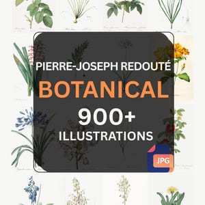 以下が含まれることがあります： さまざまな花や植物を描いた植物図のコレクション。画像には「PIERRE-JOSEPH REDOUTÉ BOTANICAL 900+ ILLUSTRATIONS JPG」というテキストが含まれています。イラストは、各植物の詳細な描写が施されたヴィンテージスタイルです。