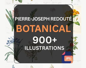 Redouté Botanical Art Mega‑Bundle – 923 Public‑Domain JPGs from Histoire des Plantes Grasses, Les Roses, Les Liliacées