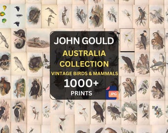 John Gould – 1,049 Vintage Birds & Mammals of Australia Prints – Ornithology Wildlife Illustrations – Public Domain Digital Download