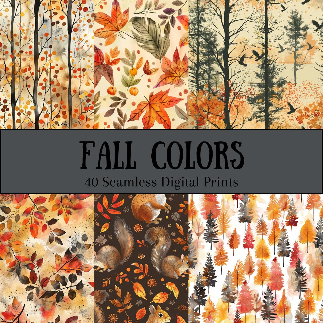 Autumn Leaves Digital Paper Pack, Fall Color Scrapbook Paper, Family ...