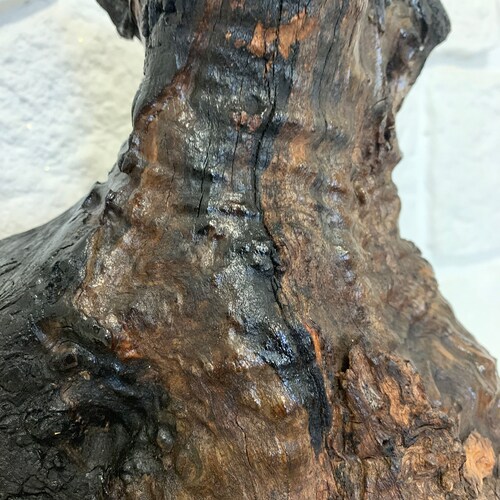 Wood sculpture, driftwood, baby elephant, worked wood, wooden furniture, hand carved. shops Drifting wood that changes