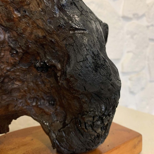 Wood sculpture, driftwood, baby elephant, worked wood, wooden furniture, hand carved. shops Drifting wood that changes