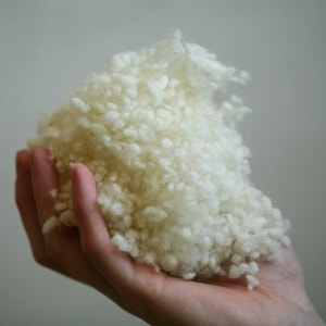 Könnte beinhalten: Eine Handvoll weicher, flauschiger weißer Wollfasern, perfekt zum Basteln oder Füllen.