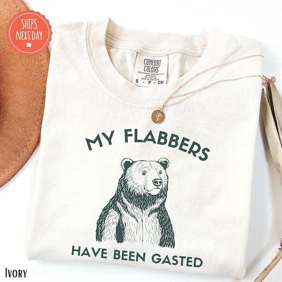 My Flabbers Have Been Gasted Shirt - Funny Unisex Shirt - Silly Shirt - Funny Graphic Tee - Sarcastic Shirt - Humor Shirt - Funny Gift