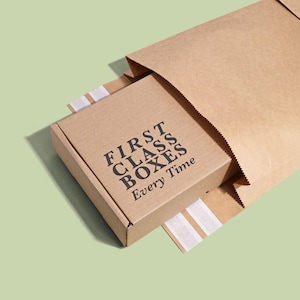 May include: A brown cardboard box, printed with "FIRST CLASS BOXES Every Time", sits inside a brown paper bag. The box is rectangular with a white tape strip. The background is a solid light green.