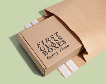 May include: A brown cardboard box, printed with "FIRST CLASS BOXES Every Time", sits inside a brown paper bag. The box is rectangular with a white tape strip. The background is a solid light green.