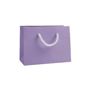 Small Gift Bags - Landscape Recycled Luxury Paper Bag with Rope Handles, Christmas, Wedding & Corporate Gifting in Various Bright Colours Lilac Gift Bag