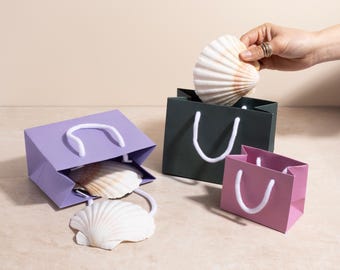 Small Gift Bags - Landscape Recycled Luxury Paper Bag with Rope Handles, Christmas, Wedding & Corporate Gifting in Various Bright Colours