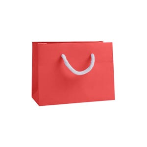 Small Gift Bags - Landscape Recycled Luxury Paper Bag with Rope Handles, Christmas, Wedding & Corporate Gifting in Various Bright Colours Red Gift Bag