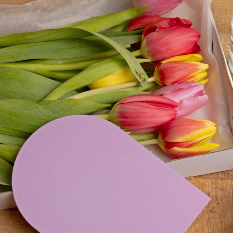 Flower Mailing Boxes Thin & Reversible | Eco Friendly Kraft or White Shipping Boxes for Florists and Valentines Gifts - 590 x 175 x 34 mm image 8