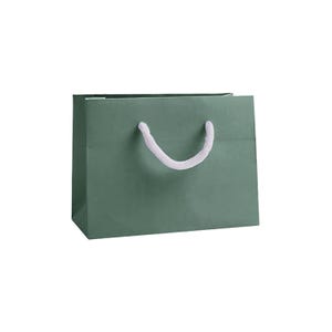 Small Gift Bags - Landscape Recycled Luxury Paper Bag with Rope Handles, Christmas, Wedding & Corporate Gifting in Various Bright Colours Green Gift Bag