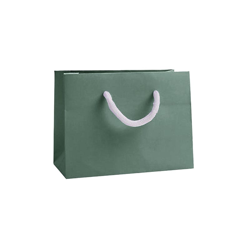 Small Gift Bags - Landscape Recycled Luxury Paper Bag with Rope Handles, Christmas, Wedding & Corporate Gifting in Various Bright Colours Green Gift Bag