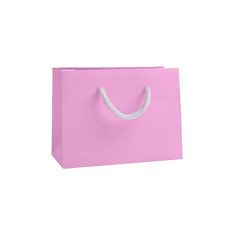 Small Gift Bags - Landscape Recycled Luxury Paper Bag with Rope Handles, Christmas, Wedding & Corporate Gifting in Various Bright Colours Pink Gift Bag