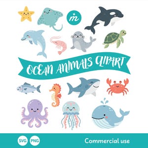 Pode incluir: Uma coleção de ilustrações de desenhos animados de animais marinhos, incluindo uma estrela-do-mar, raia, orca, golfinho, camarão, foca, tartaruga marinha, peixe, cavalo-marinho, tubarão, caranguejo, polvo, água-viva e baleia com uma faixa azul.