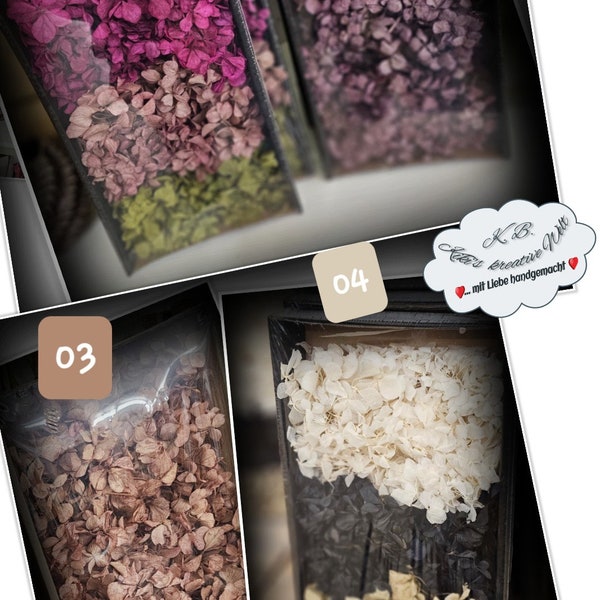 Diy Box getrocknete Hortensien Hydrangea div. Farben - getrocknete Blumen, Dried Flowers, Home Decor