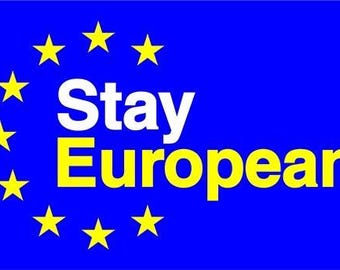 Vinyl Stickers Stay European EU Flag union car window bumper wall laptop decal love antifa Brexit (suitable for all non-porous surfaces)