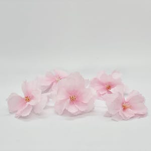 May include: A collection of delicate, light pink flowers with yellow centers, arranged on a white background. The petals are soft and layered, creating a sense of gentle beauty. The flowers appear to be in full bloom, showcasing their intricate details.