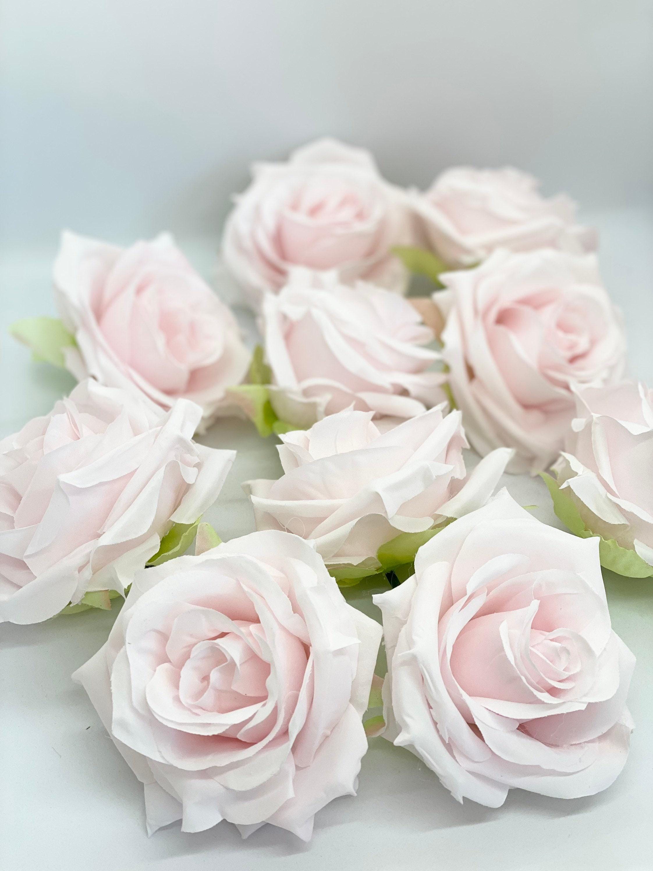 Pal Pink Roses 3