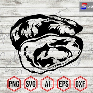 Oyster Silhouette #!, Oyster shell svg, Shell svg - Clipart, Vector, Cricut, CNC, Vinyl Cutter, Decal Sticker, T-Shirt File.