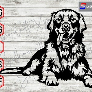 Peeking Golden Retriever svg, Smiling Dog svg, Animal svg,  Dog svg, Retriever svg - Cricut, CNC, Vinyl Cutter, Decal Sticker, T-Shirt File.