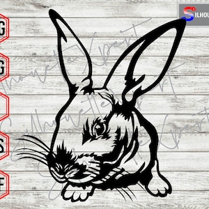 Cute Rabbit svg, Bunny svg, Rabbit svg - Cricut, CNC, Laser, Vinyl Cutter, Decal Sticker, T-Shirt File.