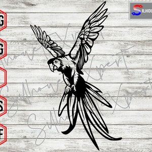 Parrot svg, Flying Parrot svg, Bird Portrait svg, Pet svg - Silhouette, Cricut, CNC, Laser, Vinyl Cutter, Decal Sticker, T-Shirt File.