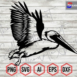 Pelican Silhouette #1, Pelican svg, Flying Pelican svg - Clipart, Vector, Cricut, CNC, Vinyl Cutter, Decal Sticker, T-Shirt File.