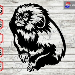 Pygmy Marmoset svg, Monkey svg,  Smallest Monkey svg, Animal svg - Clipart, Cricut, CNC, Vinyl Cutter, Decal Sticker, T-Shirt File.