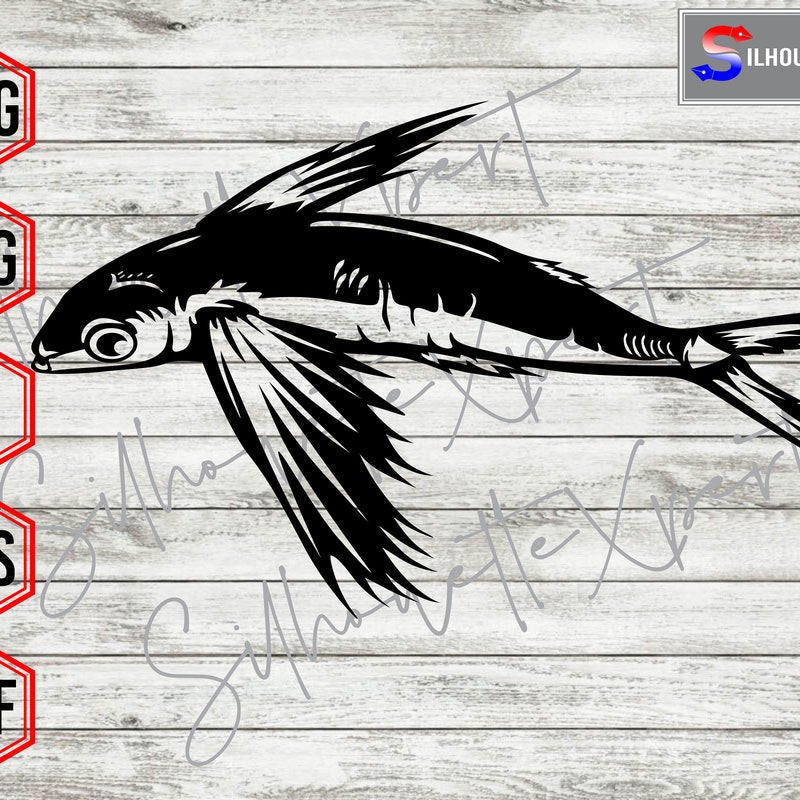 Flying Fish Print - Etsy