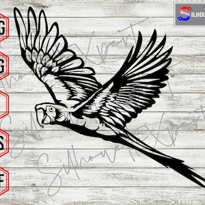 May include: Black and white vector illustration of a parrot in flight. The parrot is depicted with its wings spread wide, showcasing detailed feather patterns. The image includes file type icons: PNG, SVG, AI, EPS, and DXF.